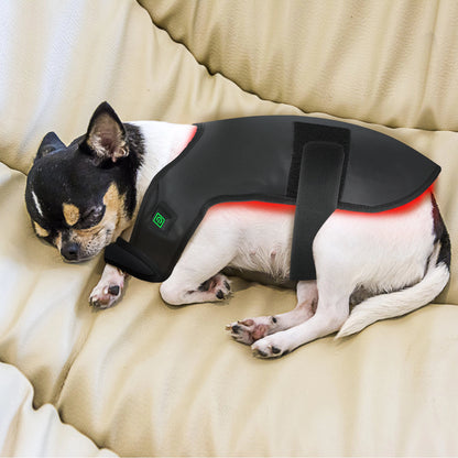Light Therapy Vest