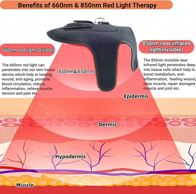 The science behind light therapy for pets